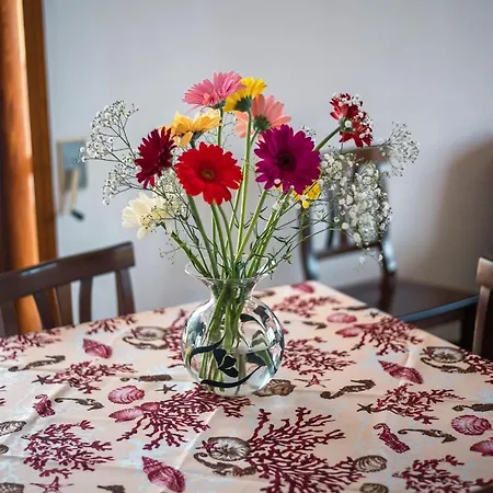 Apartmán Casa Vacanze Alisea *